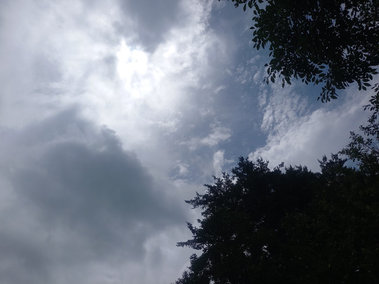 f:id:ainame01:20260707174711j:image f:id:ainame01:20260707174711j:image