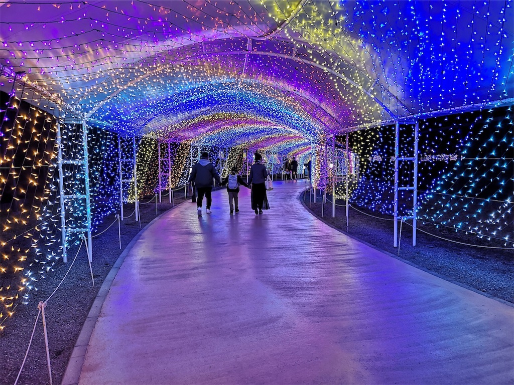八景島シーパラダイス デート アジフライ