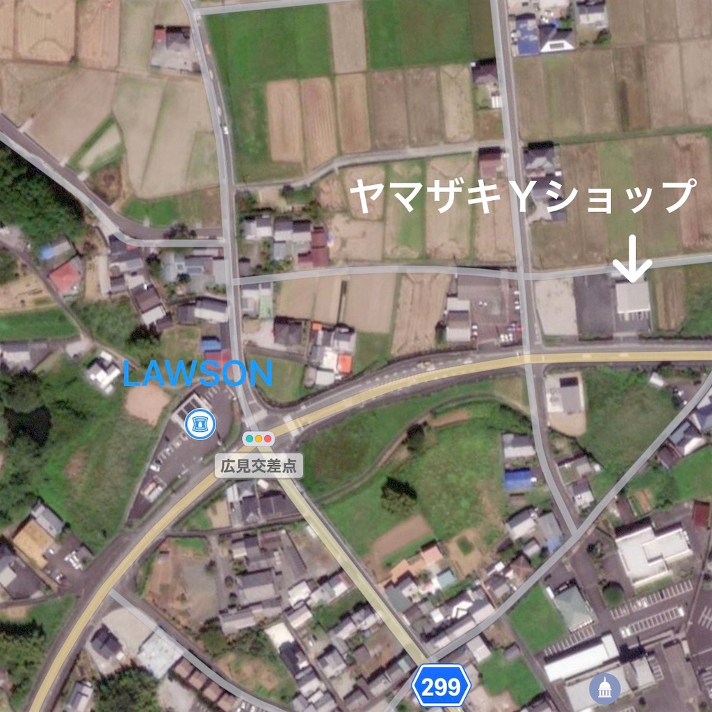 f:id:ainanmedaka:20210322150428j:image f:id:ainanmedaka:20210322150428j:image