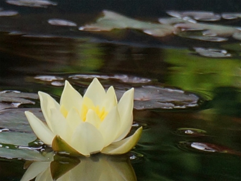 f:id:ainanmedaka:20210614095815j:image f:id:ainanmedaka:20210614095815j:image