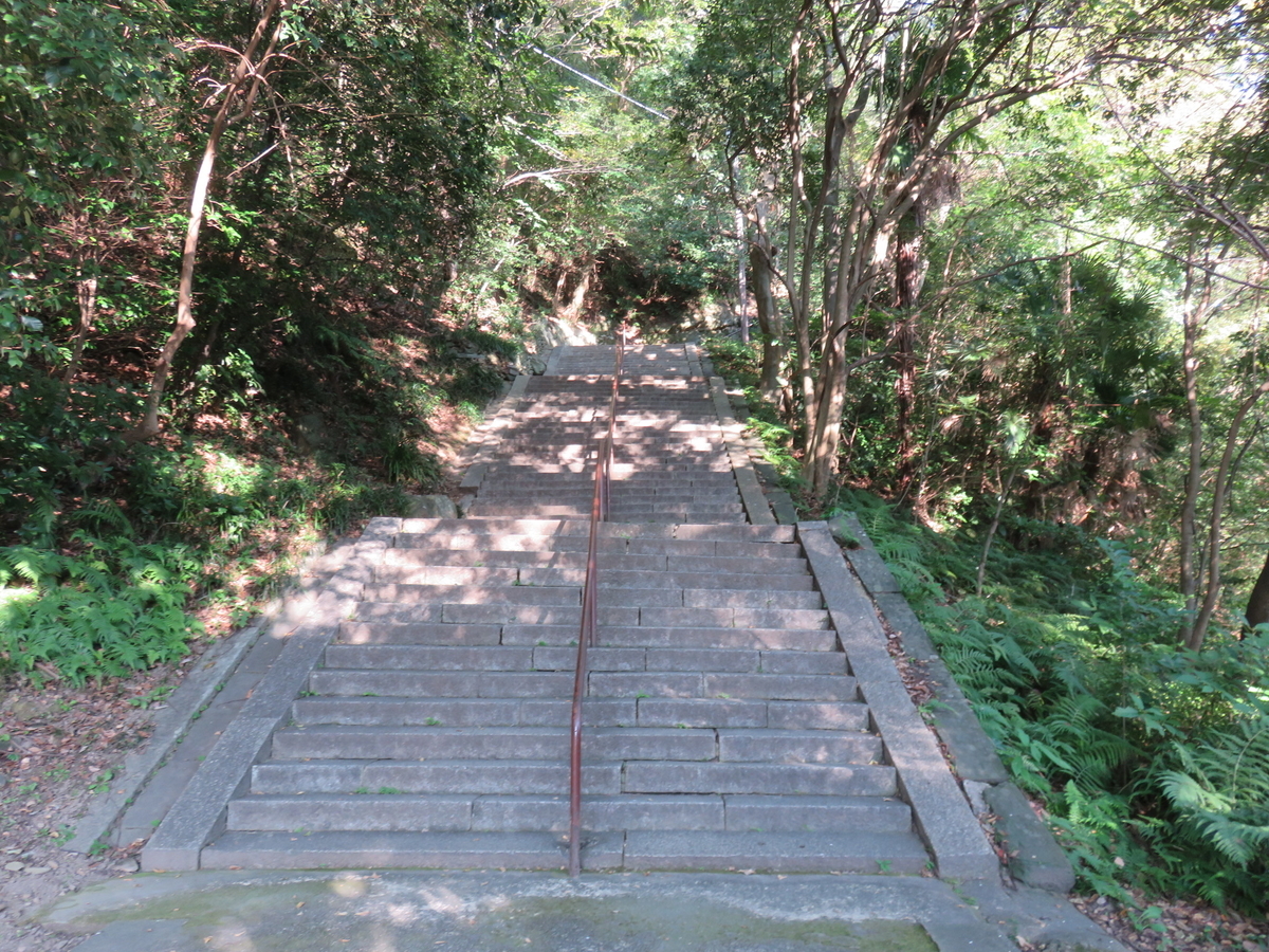 f:id:ainchan:20191122203602j:plain f:id:ainchan:20191122203602j:plain