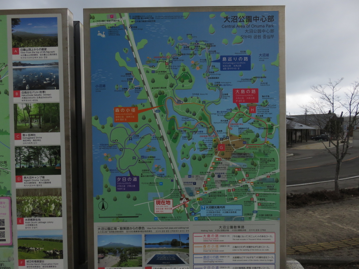 f:id:ainchan:20210418170656j:plain