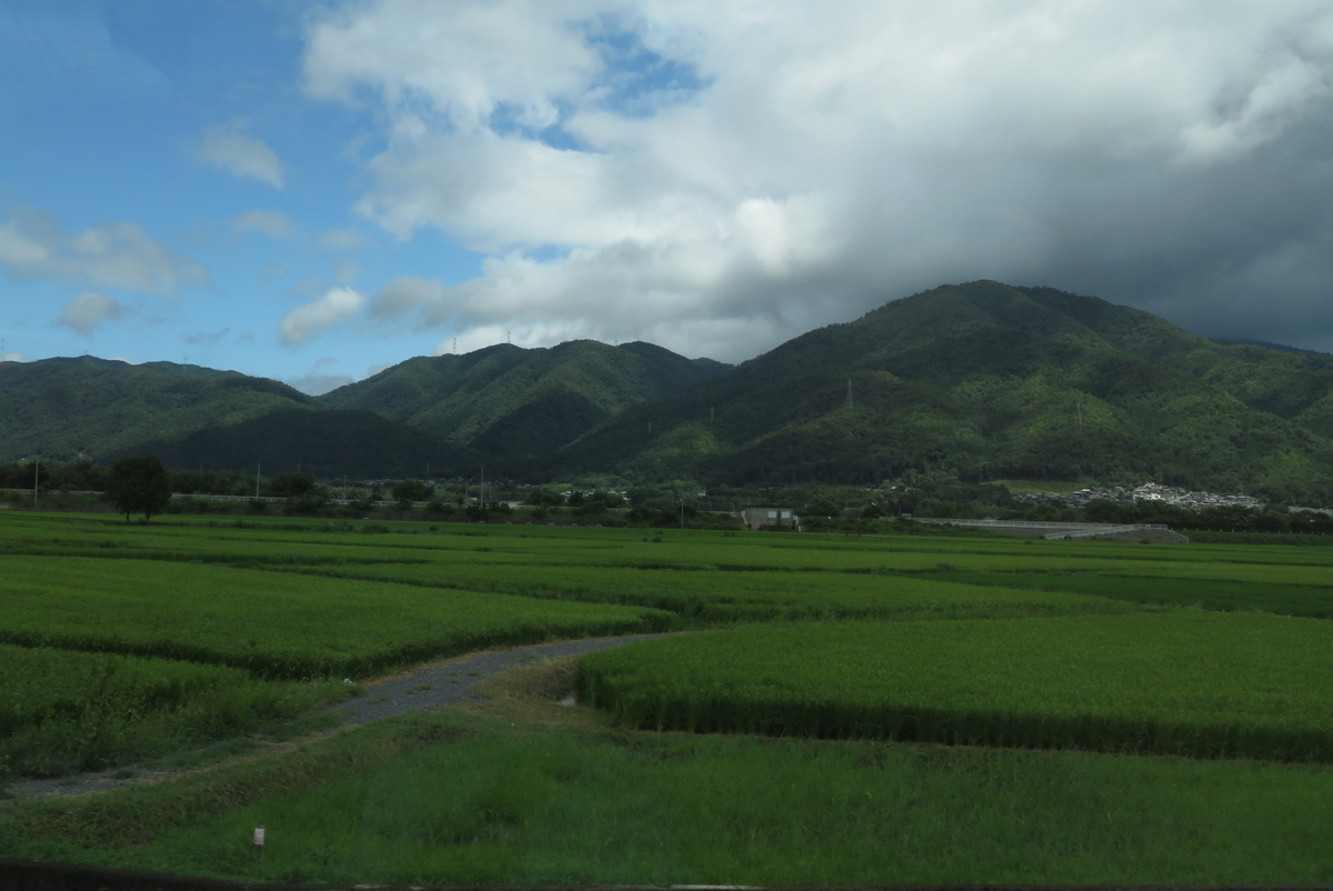 f:id:ainchan:20210812165020j:plain