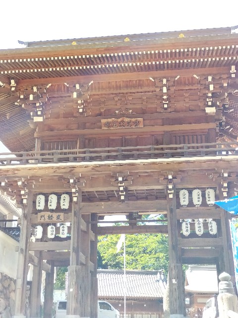 f:id:ainenyan:20240731200715j:image