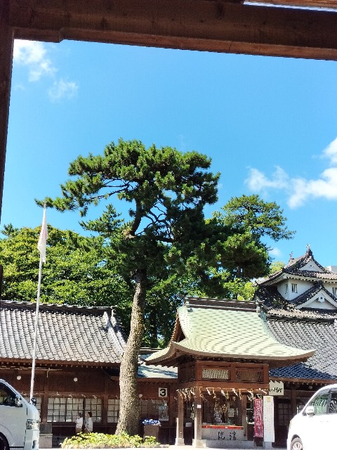 f:id:ainenyan:20240731200734j:image