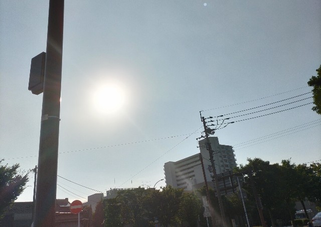 f:id:ainenyan:20240813074028j:image f:id:ainenyan:20240813074028j:image