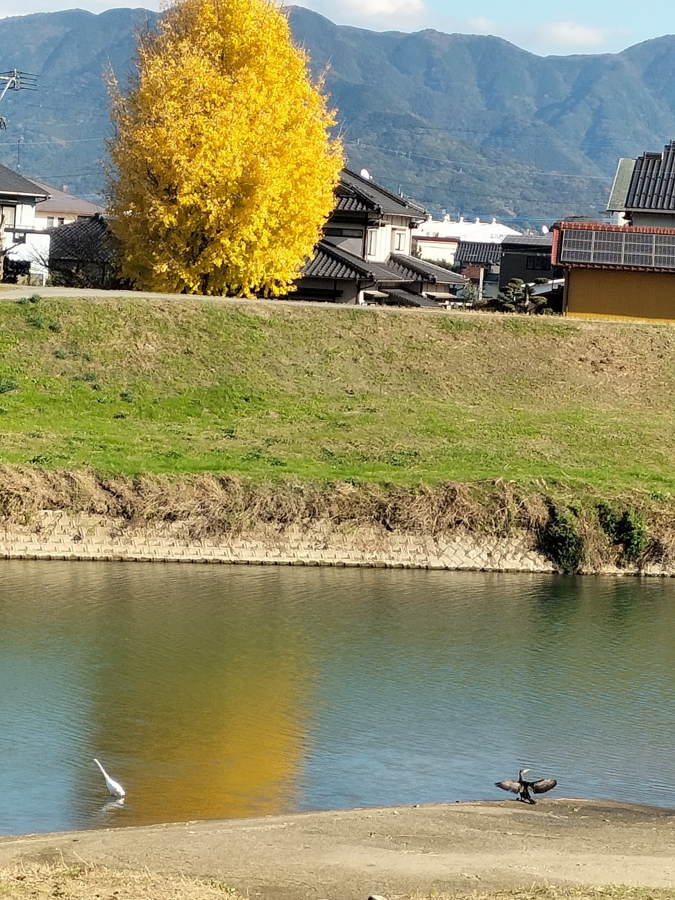 f:id:ainenyan:20251207001415j:image
