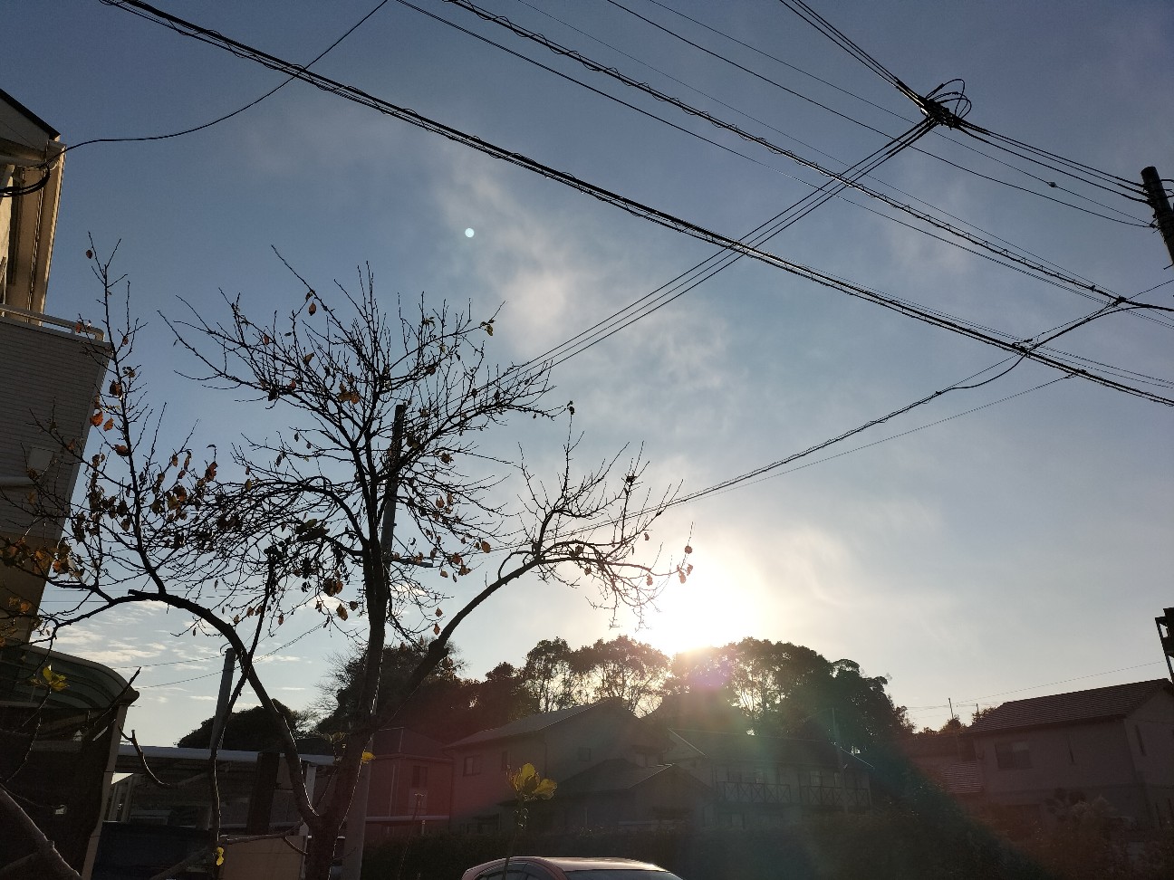 f:id:ainenyan:20251211224219j:image
