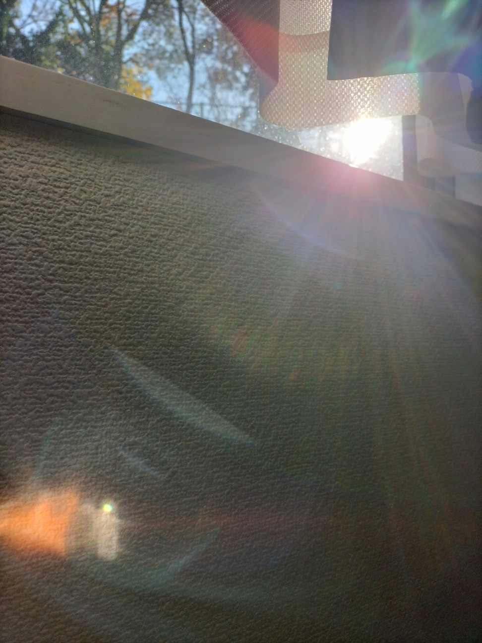 f:id:ainenyan:20251211235201j:image