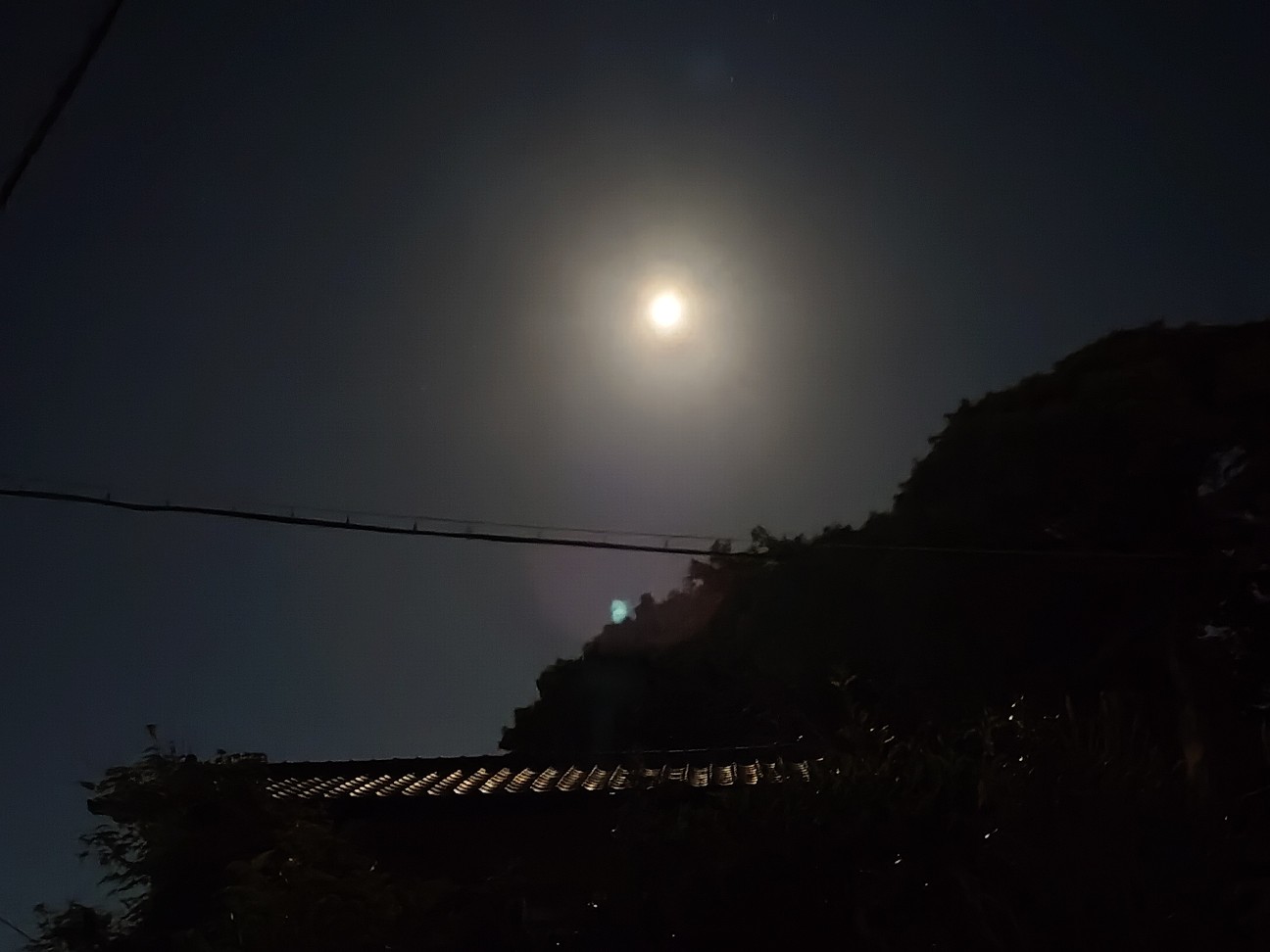 f:id:ainenyan:20260826194958j:image