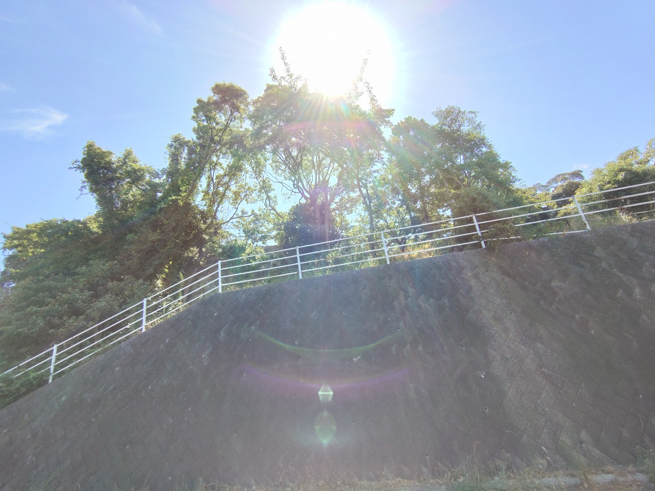 f:id:ainenyan:20260826225856j:image