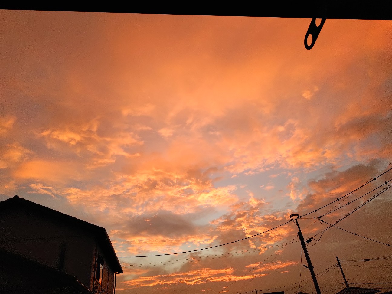 f:id:ainenyan:20260829091315j:image