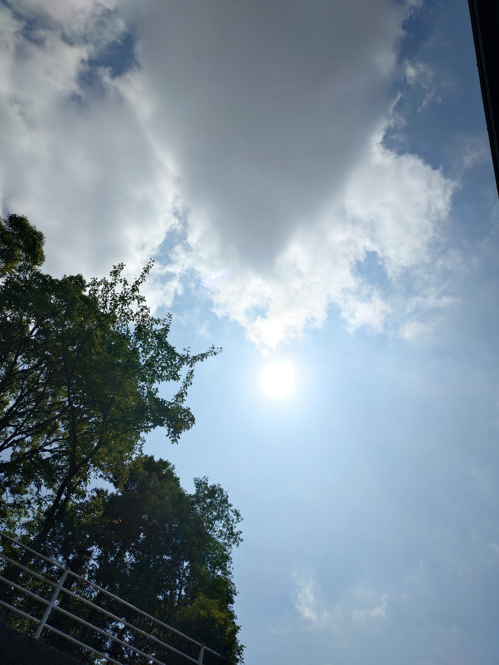 f:id:ainenyan:20260920033819j:image