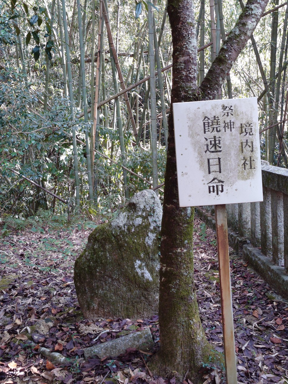 f:id:ainenyan:20260923233625j:image