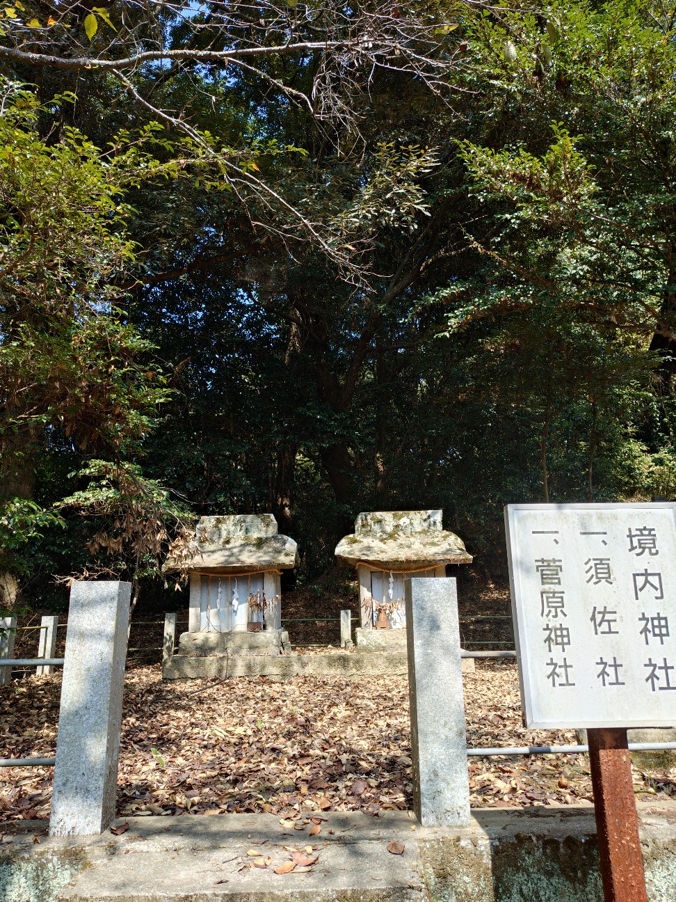 f:id:ainenyan:20260923233626j:image