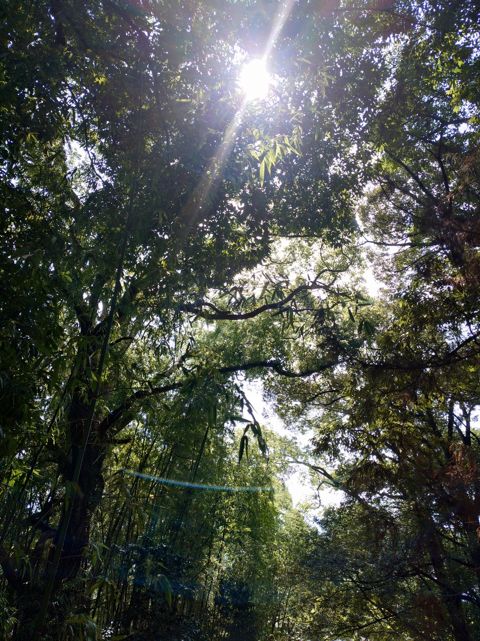 f:id:ainenyan:20260923233631j:image