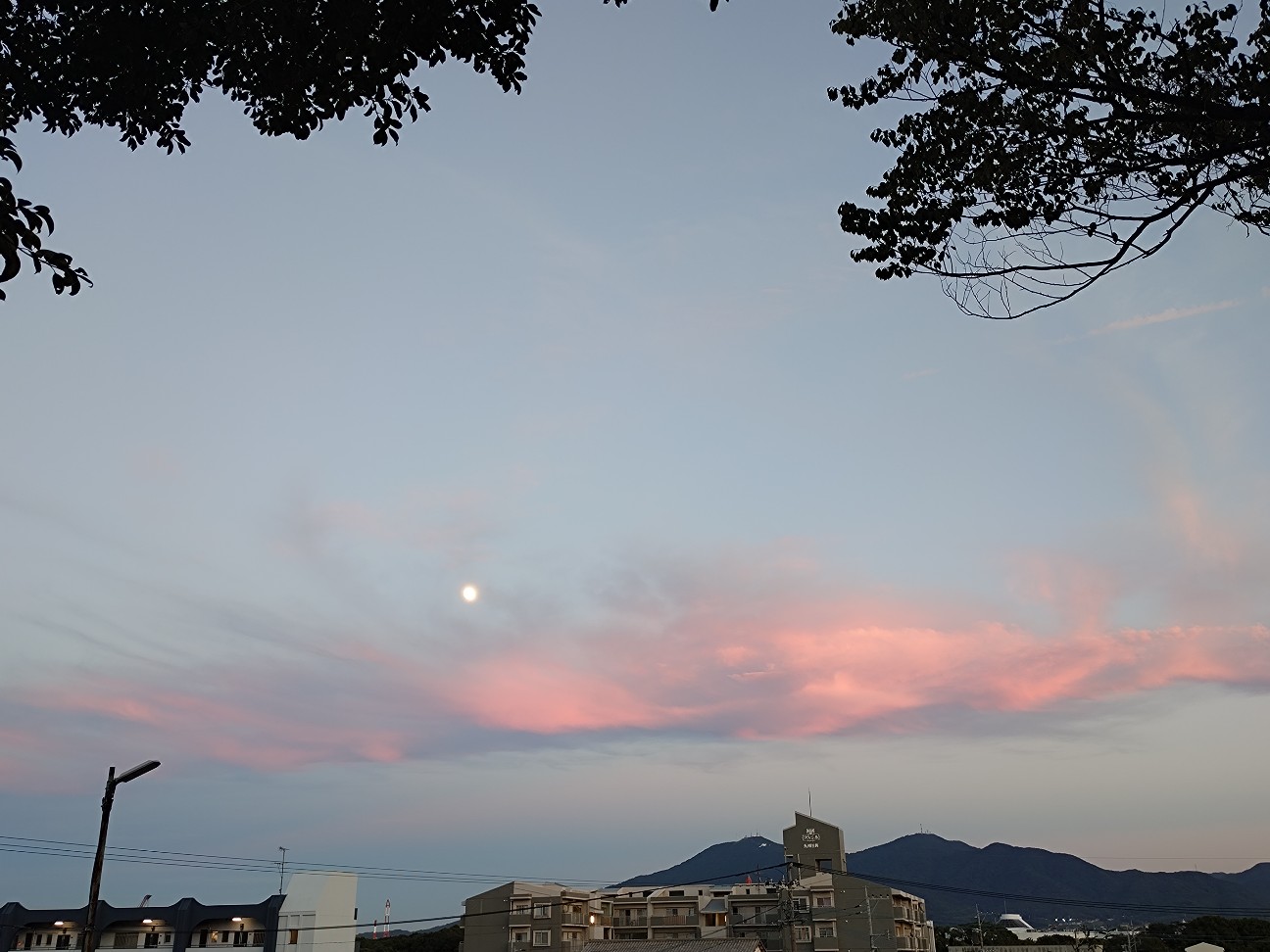 f:id:ainenyan:20260925000621j:image