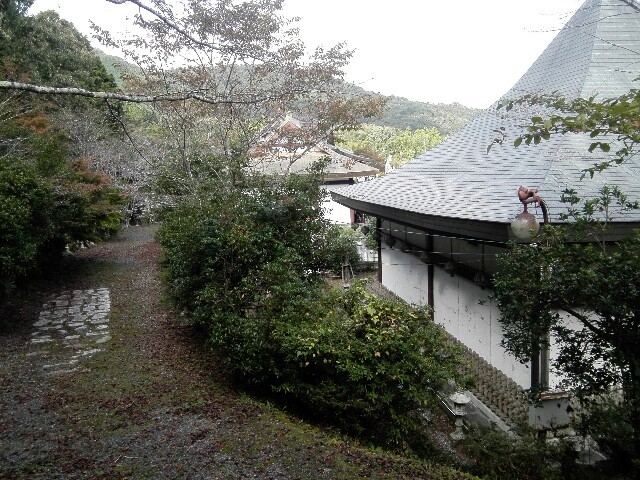 f:id:ainisi:20200718234506j:image