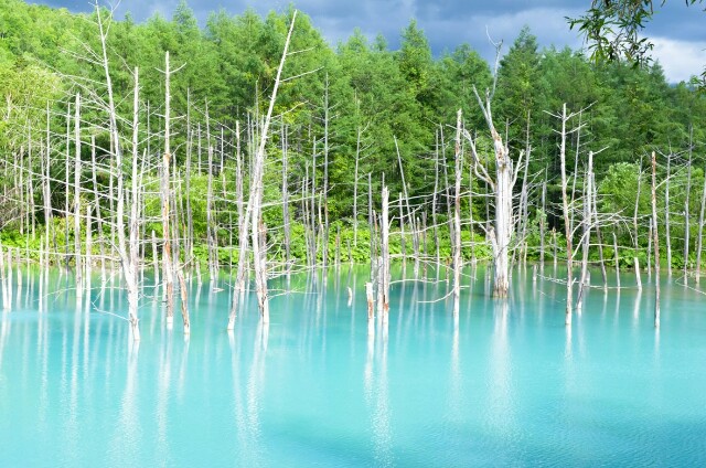 f:id:ainisi:20200822001132j:image f:id:ainisi:20200822001132j:image