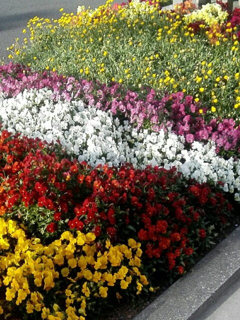 f:id:ainisi:20200823170713j:image f:id:ainisi:20200823170713j:image