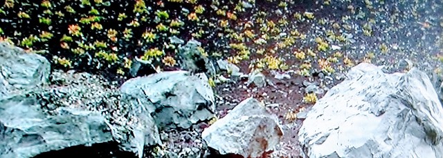 f:id:ainisi:20200904004131j:image