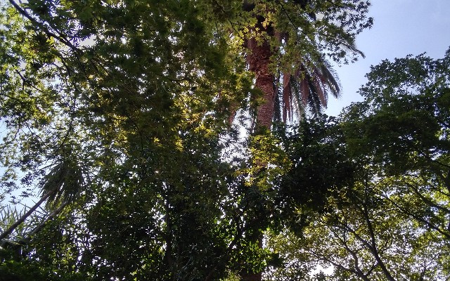 f:id:ainisi:20200904014029j:image