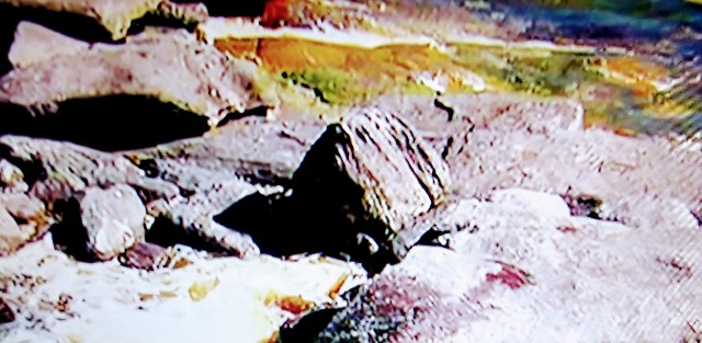 f:id:ainisi:20200912122507j:image