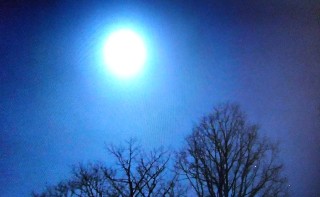 f:id:ainisi:20201001030452j:image