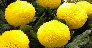 f:id:ainisi:20201001031422j:image