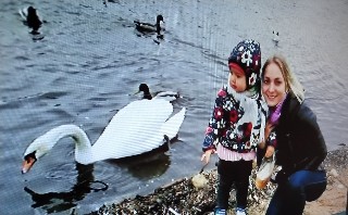 f:id:ainisi:20201026235928j:plain
