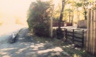 f:id:ainisi:20201102231054j:plain
