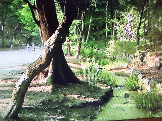 f:id:ainisi:20201103082230j:plain f:id:ainisi:20201103082230j:plain