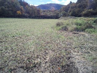 f:id:ainisi:20201105162208j:plain