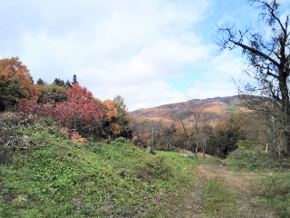 f:id:ainisi:20201105162305j:plain