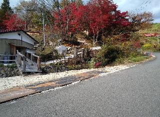 f:id:ainisi:20201105164949j:plain