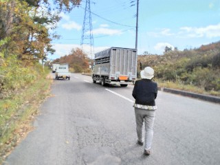 f:id:ainisi:20201105174150j:plain