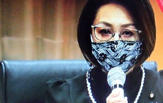f:id:ainisi:20201111132937j:plain