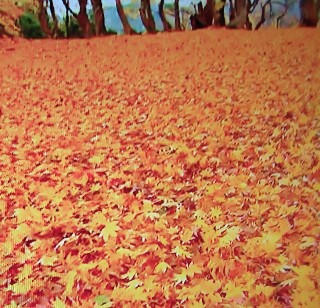 f:id:ainisi:20201111155223j:plain