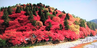f:id:ainisi:20201111155240j:plain