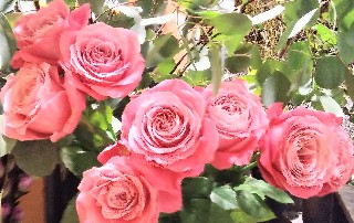 f:id:ainisi:20201111160905j:plain