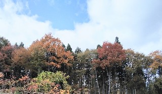 f:id:ainisi:20201111160932j:plain