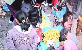 f:id:ainisi:20201116123322j:plain f:id:ainisi:20201116123322j:plain