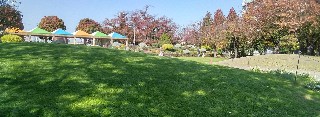 f:id:ainisi:20201117150202j:plain