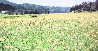 f:id:ainisi:20201117153816j:plain