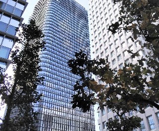 f:id:ainisi:20201121193420j:plain