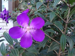 f:id:ainisi:20201122162351j:plain
