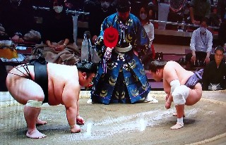 f:id:ainisi:20201122183943j:plain