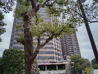 f:id:ainisi:20201127165536j:plain