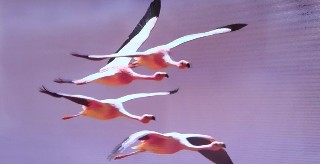 f:id:ainisi:20201201184331j:plain