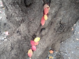 f:id:ainisi:20201212160453j:plain